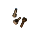 Engine Parts Cylinder Head Exhaust Port Screw